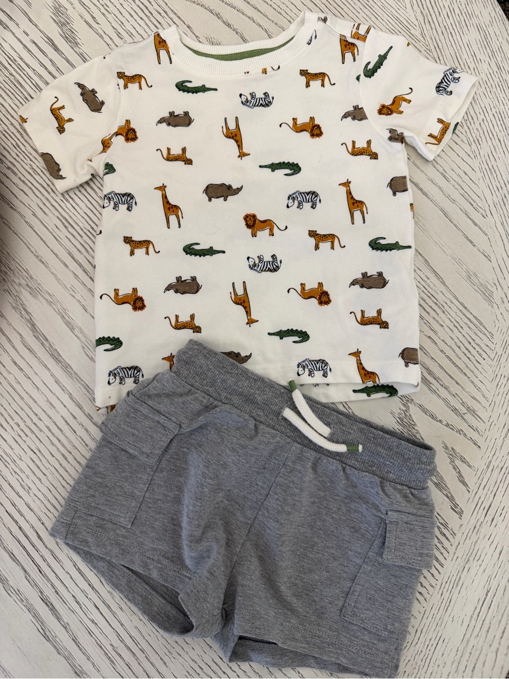 Baby bundle, 1 onsie, 1 tee & 1 short. Carters & C&C California. 12-18 months